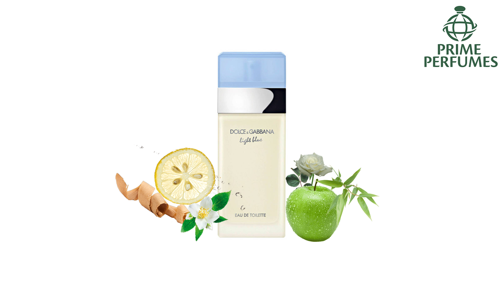 Dolce & Gabanna Light Blue EDT 25ML - Prime Perfumes